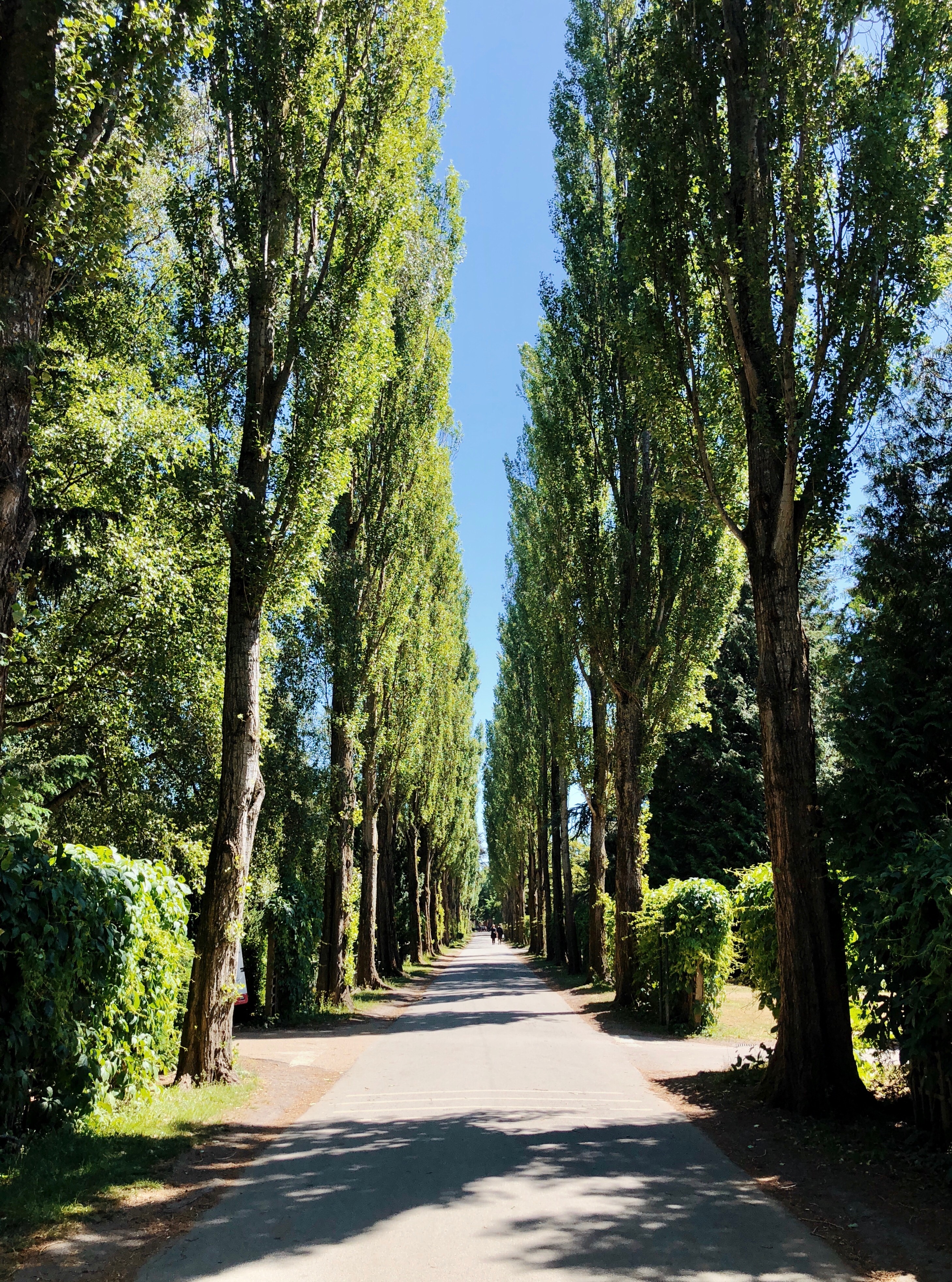 Cemetary in Norrebro