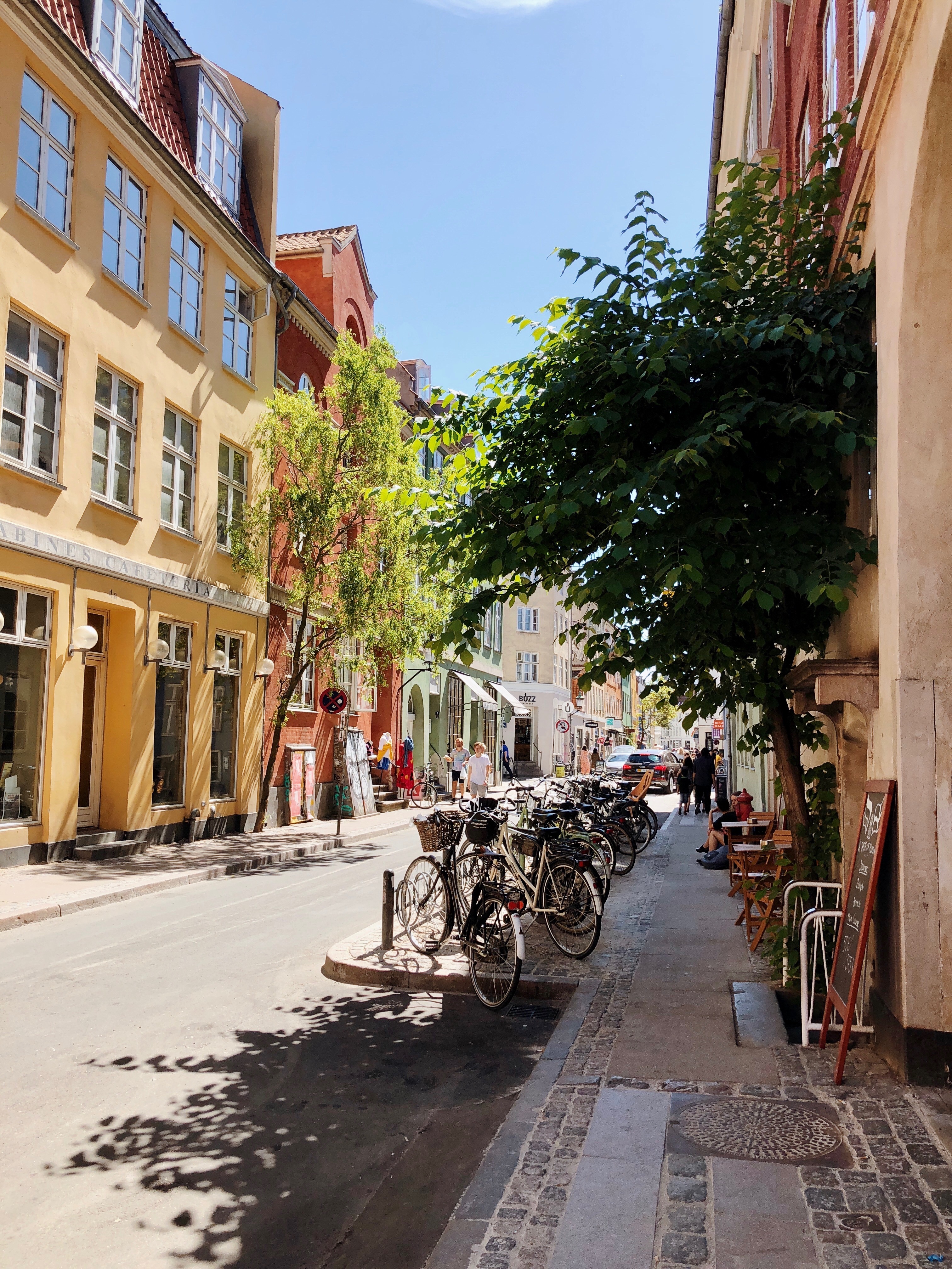 Copenhagen street view